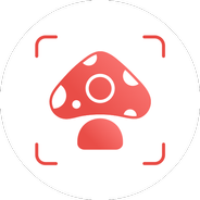 Picture Mushroom - Mushroom ID icon