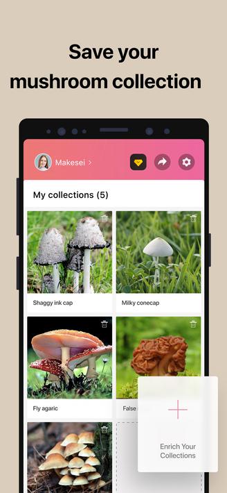 Picture Mushroom - Mushroom ID screenshot 4