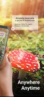 Picture Mushroom - Mushroom ID اسکرین شاٹ 1