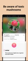 Picture Mushroom - Mushroom ID اسکرین شاٹ 2