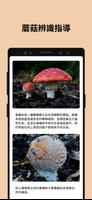 Picture Mushroom 截圖 3