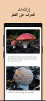 Picture Mushroom تصوير الشاشة 3