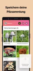 Picture Mushroom - Pilzführer APK Herunterladen