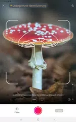 Picture Mushroom - Pilzführer APK Herunterladen