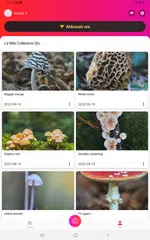 download Picture Mushroom: Guida Fungo APK