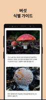 Picture Mushroom 스크린샷 3