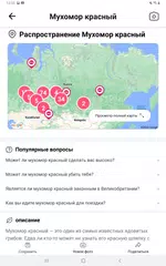 Скачать Picture Mushroom - Mushroom ID APK