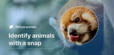 Picture Animal - Animal ID Pro