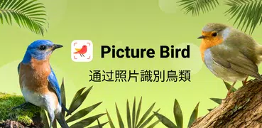 Picture Bird - 拍照識鳥