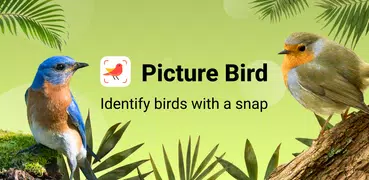 Picture Bird - Распознать птиц
