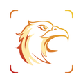 Picture Bird