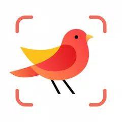 Picture Bird - Vögel bestimmen APK Herunterladen