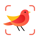 Picture Bird - Vögel bestimmen APK