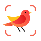 Picture Bird - Bird Identifier APK