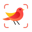 ”Picture Bird - Bird Identifier
