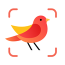 Picture Bird - 撮ったら、判る-1秒鳥図鑑 APK