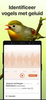 Picture Bird screenshot 2
