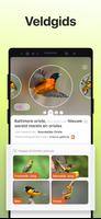 Picture Bird screenshot 3
