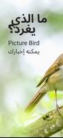 Picture Bird الملصق