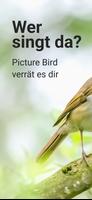 Picture Bird Plakat