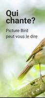 Picture Bird Affiche