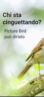 Poster Picture Bird