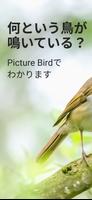 Picture Bird ポスター