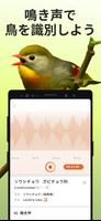 Picture Bird スクリーンショット 2