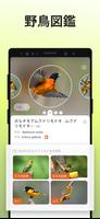 Picture Bird スクリーンショット 3