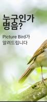 Picture Bird 포스터