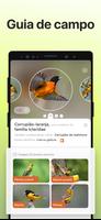 Picture Bird imagem de tela 3