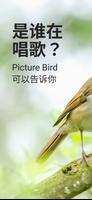 Picture Bird 海报