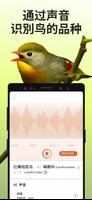 Picture Bird 截图 2