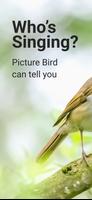 Picture Bird - Bird Identifier โปสเตอร์