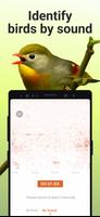 Picture Bird - Bird Identifier स्क्रीनशॉट 2