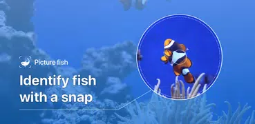 Picture Fish - Fish Identifier