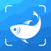 Picture Fish - Fish Identifier Zeichen