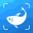 Picture Fish - Fish Identifier