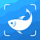 APK Picture Fish - Fish Identifier