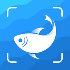 Picture Fish - Fish Identifier simgesi