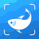 Picture Fish - Fish Identifier APK