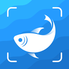 Picture Fish - Fish Identifier आइकन