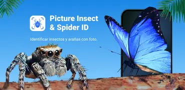 Picture Insect - Insectos ID