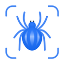 APK Picture Insect: Bug Identifier