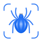 Picture Insect: Bug Identifier biểu tượng