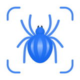 Picture Insect: Bug Identifier APK