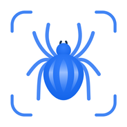 Picture Insect icon