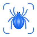 Picture Insect - Insectes ID APK