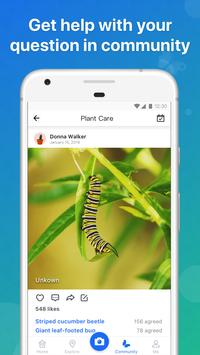 Picture Insect 截图 3