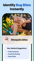 Picture Insect: Bug Identifier स्क्रीनशॉट 3